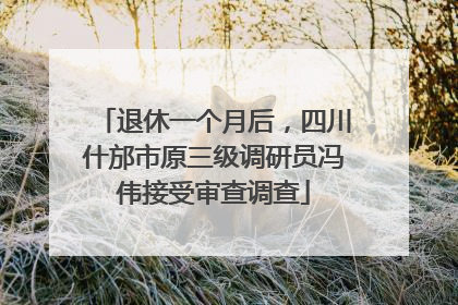 退休一个月后，四川什邡市原三级调研员冯伟接受审查调查