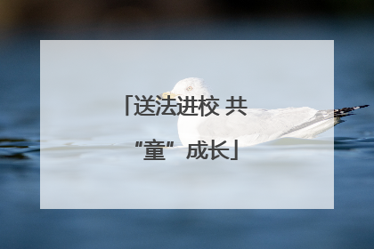 送法进校 共“童”成长
