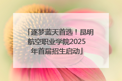逐梦蓝天首选！昆明航空职业学院2025年首届招生启动