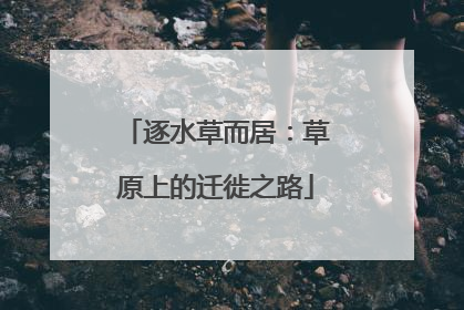逐水草而居：草原上的迁徙之路