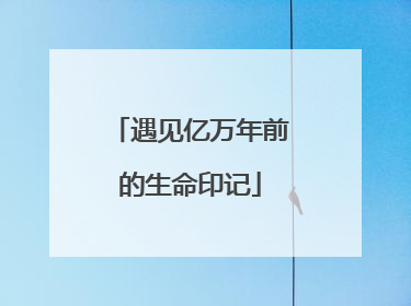 遇见亿万年前的生命印记