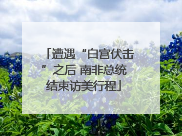 遭遇“白宫伏击”之后 南非总统结束访美行程