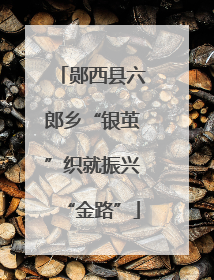 郧西县六郎乡“银茧”织就振兴“金路”