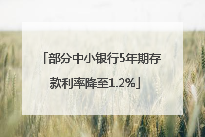 部分中小银行5年期存款利率降至1.2%