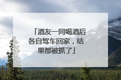 酒友一同喝酒后各自驾车回家，结果都被抓了