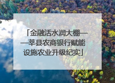 金融活水润大棚——莘县农商银行赋能设施农业升级纪实