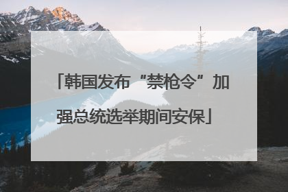 韩国发布“禁枪令”加强总统选举期间安保