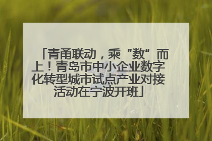 青甬联动，乘“数”而上！青岛市中小企业数字化转型城市试点产业对接活动在宁波开班