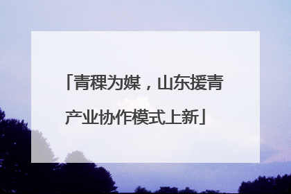 青稞为媒，山东援青产业协作模式上新