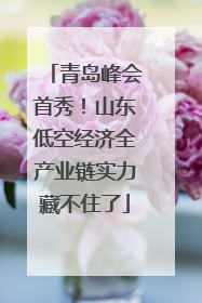 青岛峰会首秀！山东低空经济全产业链实力藏不住了