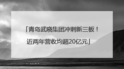 青岛武晓集团冲刺新三板！近两年营收均超20亿元