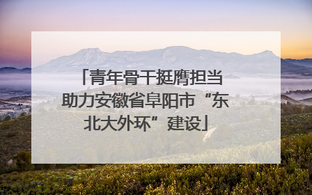 青年骨干挺膺担当 助力安徽省阜阳市“东北大外环”建设