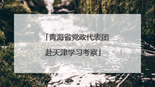 青海省党政代表团赴天津学习考察