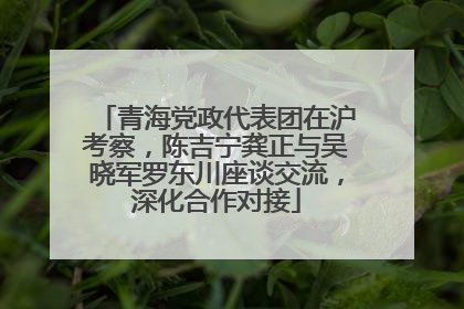 青海党政代表团在沪考察，陈吉宁龚正与吴晓军罗东川座谈交流，深化合作对接