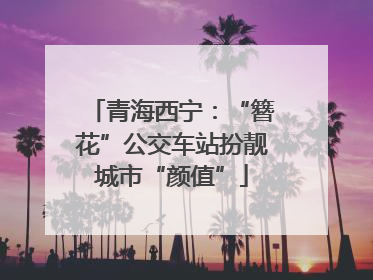 青海西宁：“簪花”公交车站扮靓城市“颜值”