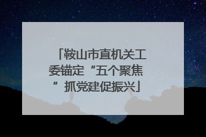 鞍山市直机关工委锚定“五个聚焦”抓党建促振兴