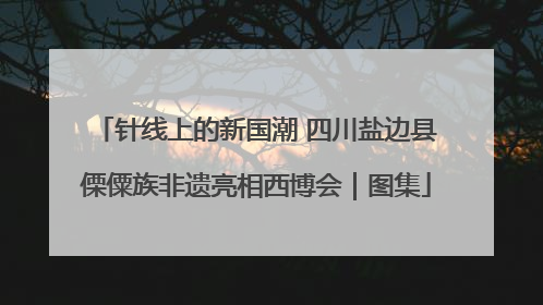针线上的新国潮 四川盐边县傈僳族非遗亮相西博会｜图集
