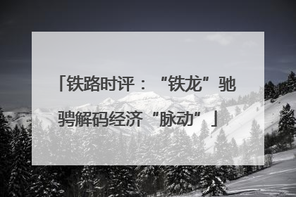 铁路时评：“铁龙”驰骋解码经济“脉动”