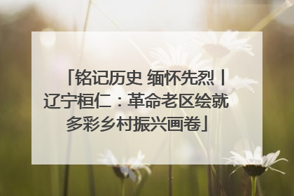铭记历史 缅怀先烈丨辽宁桓仁：革命老区绘就多彩乡村振兴画卷