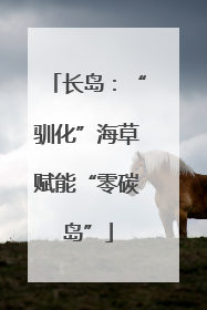 长岛：“驯化”海草赋能“零碳岛”