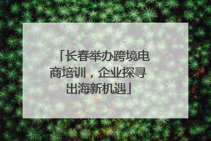 长春举办跨境电商培训，企业探寻出海新机遇