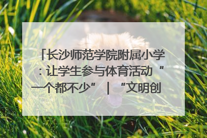 长沙师范学院附属小学：让学生参与体育活动“一个都不少”｜“文明创建耀三湘”专栏