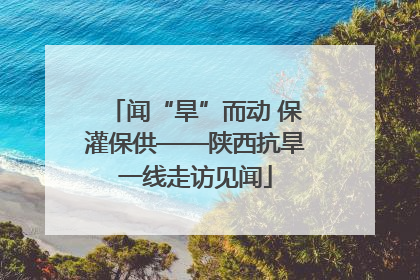 闻“旱”而动 保灌保供——陕西抗旱一线走访见闻