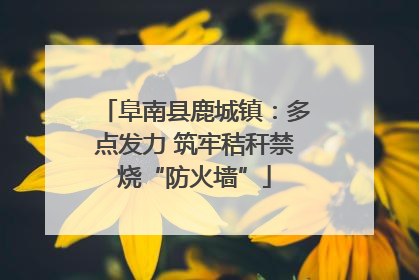 阜南县鹿城镇：多点发力 筑牢秸秆禁烧“防火墙”