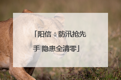 阳信：防汛抢先手 隐患全清零
