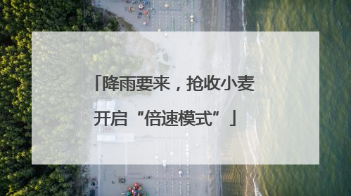 降雨要来，抢收小麦开启“倍速模式”
