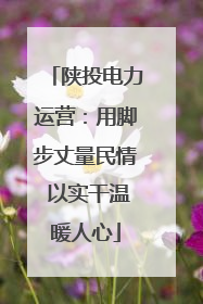 陕投电力运营：用脚步丈量民情 以实干温暖人心