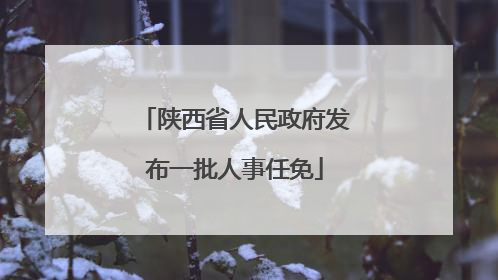 陕西省人民政府发布一批人事任免