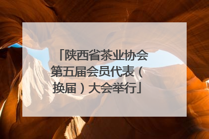 陕西省茶业协会第五届会员代表（换届）大会举行