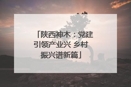 陕西神木：党建引领产业兴 乡村振兴谱新篇