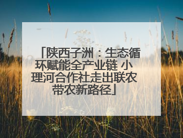 陕西子洲：生态循环赋能全产业链 小理河合作社走出联农带农新路径