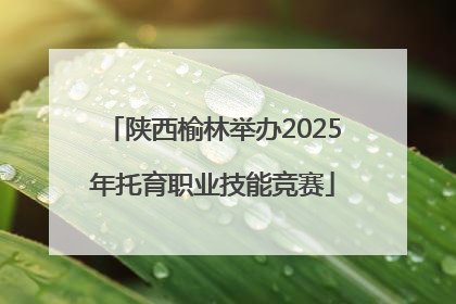 陕西榆林举办2025年托育职业技能竞赛