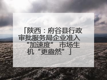 陕西：府谷县行政审批服务局企业准入“加速度” 市场生机“更盎然”