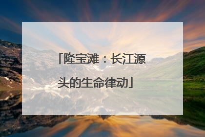 隆宝滩：长江源头的生命律动