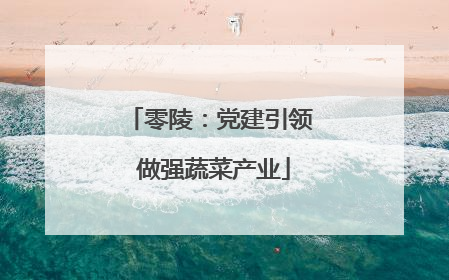 零陵：党建引领 做强蔬菜产业