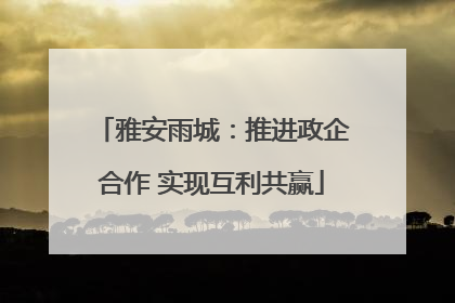 雅安雨城：推进政企合作 实现互利共赢