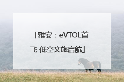 雅安：eVTOL首飞 低空文旅启航
