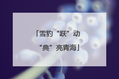 雪豹“跃”动 “典”亮青海