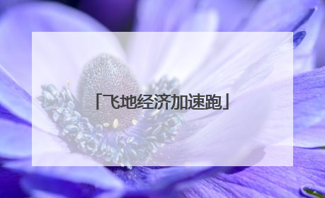 飞地经济加速跑