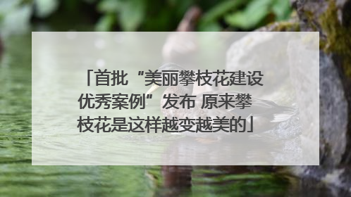 首批“美丽攀枝花建设优秀案例”发布 原来攀枝花是这样越变越美的