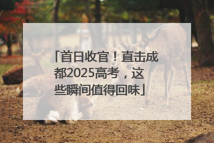 首日收官！直击成都2025高考，这些瞬间值得回味