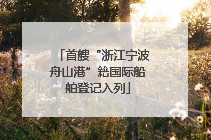 首艘“浙江宁波舟山港”籍国际船舶登记入列