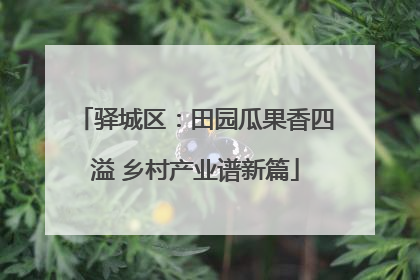 驿城区：田园瓜果香四溢 乡村产业谱新篇