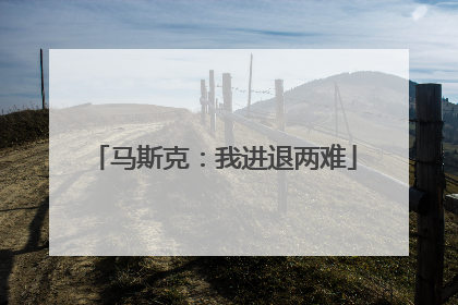 马斯克：我进退两难