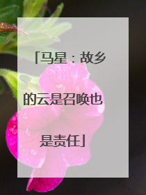 马星：故乡的云是召唤也是责任