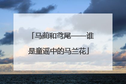 马蔺和鸢尾——谁是童谣中的马兰花